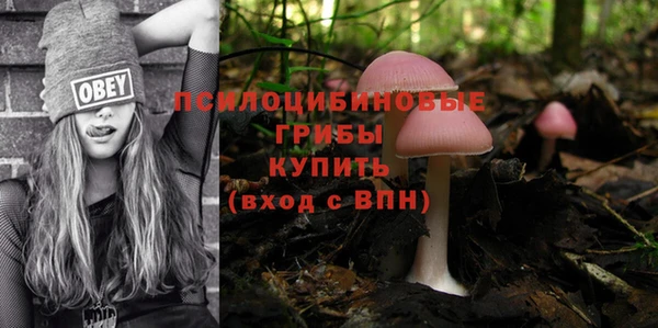 МДПВ Заволжье