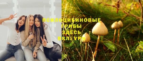 МДПВ Заволжье
