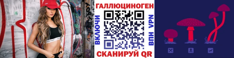 Купить где  Белёв  Галлюциногенные грибы Psilocybe 